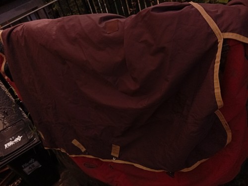 Horse rug brown - horse,