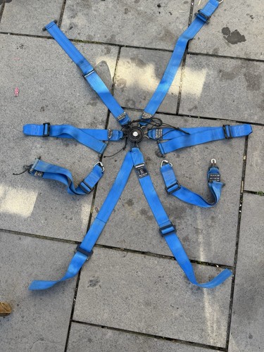 Sparco rally harnesses - rally,