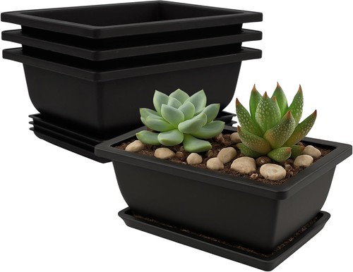 Bonsai training pots drip - training,