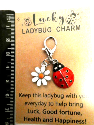Good lucky charm ladybug - lucky,