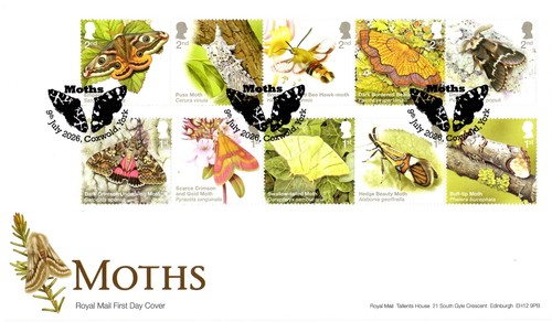 2026 moths first - 2026, day