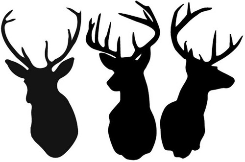 Large stag deer heads - deer,