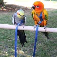 Parrot Bird Harness Adjustable
