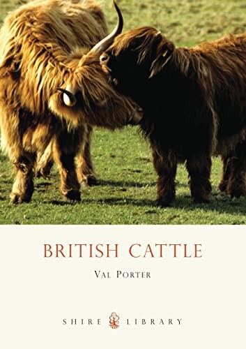 British cattle - british,