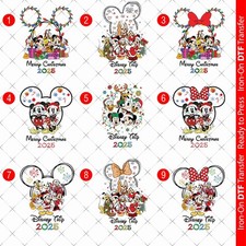 Disney Christmas Trip Family