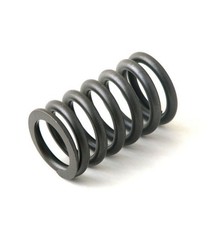 Element spring for Simms