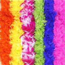 Fancy Dress Costume Accessory Feather Boa Dance Burlesque Hen Party Decor 2meter