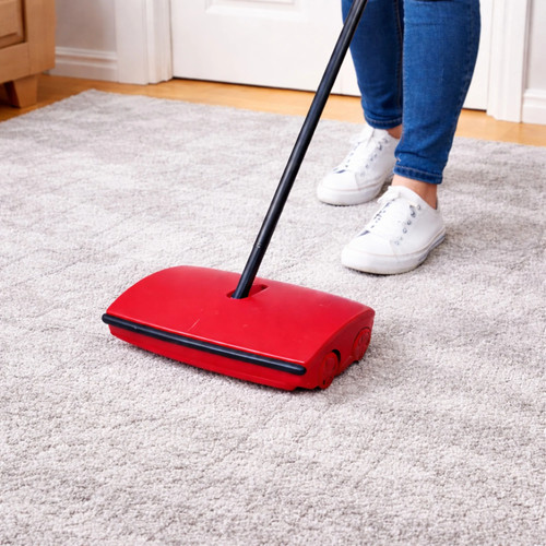Carpet sweeper - carpet,