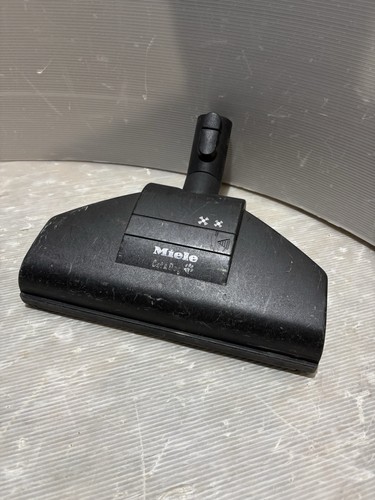 Miele cat dog - head, c1