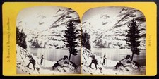 A. Braun, Oberland Bernois