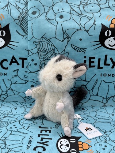 New jelly cat - jelly, lolly
