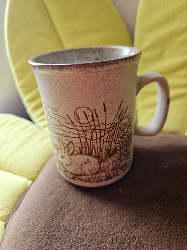 Vintage dunoon ceramic - 🐞vintage,
