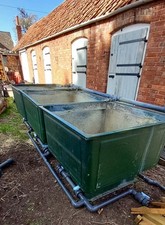 KOI AND POND FISH QUARANTINE