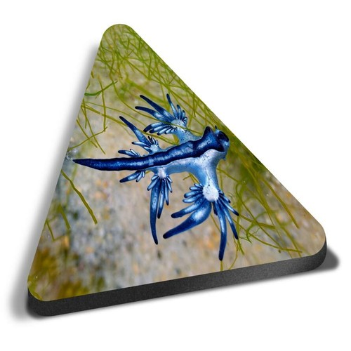 Triangle mdf magnets blue - mdf,