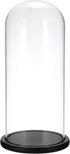Glass Tall Cloche Dome with