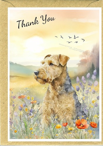 Lakeland terrier dog - dog, you