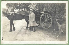 Horse & cart at Calne - old RP Wiltshire postcard