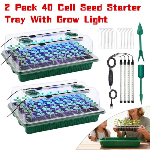 Cell seed starter tray - 80,
