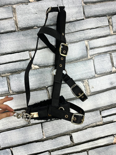 Web lunge cavesson cob - lunge,