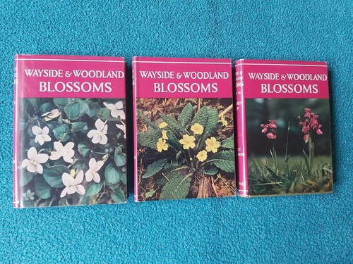 Wayside woodland blossoms - wayside, &