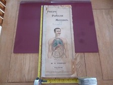 PHILIPS' POPULAR MANNIKIN W.S. FURNEAUX MODEL OF THE HUMAN BODY *TATTY/SCRUFFY*