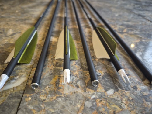 Archery carbon arrow - 6, x