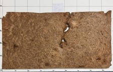 Burr Elm Real Wood Veneer 12