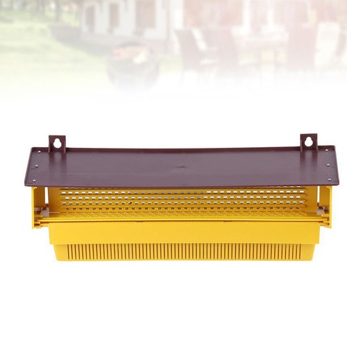 Hive beekeeping tools - tools, trough