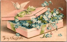 "To My Valentine" Dove On Pink
