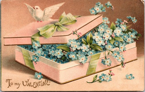 Valentine dove on pink - valentine",