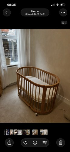 Boori oasis beech cot - boori,