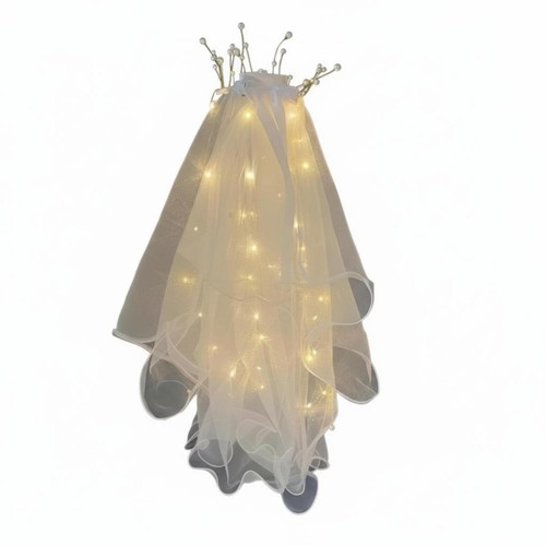 Double layer illuminated veil - layer,