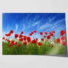 Red Poppies in Field Canvas