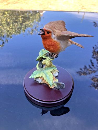 Country artists singing robin - singing,