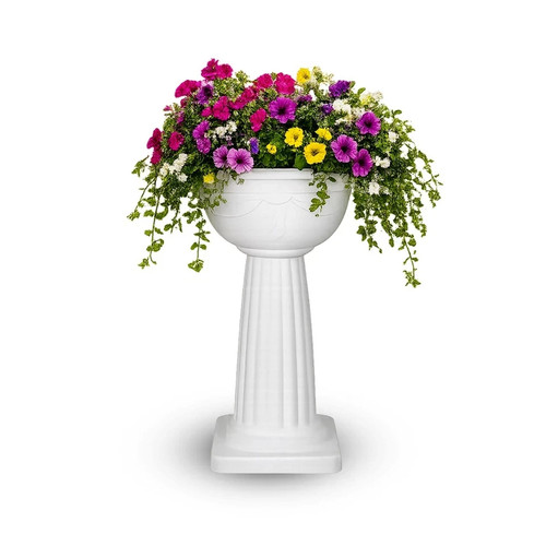 Tall pedestal jardiniere plant - tall,