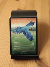 Life TCG - 1st Edition Birds -  Full Art