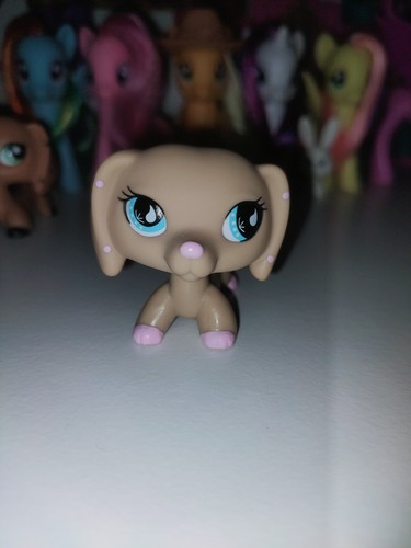 Not auth littlest pet shop - not,
