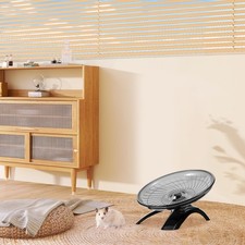 Hedgehog exercise wheel - hedgehog,