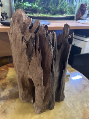 Large natural aquarium - natural,