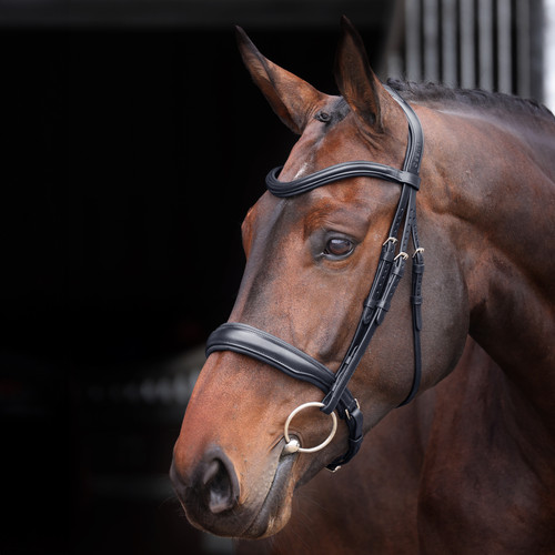 Shires velociti lusso elite - shires,