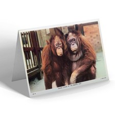 NOTELET - Vintage Bristol -