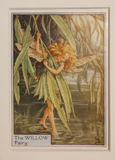 Vintage Flower Fairies Print & Mount The Willow Fairy Cicely Barker c1930's