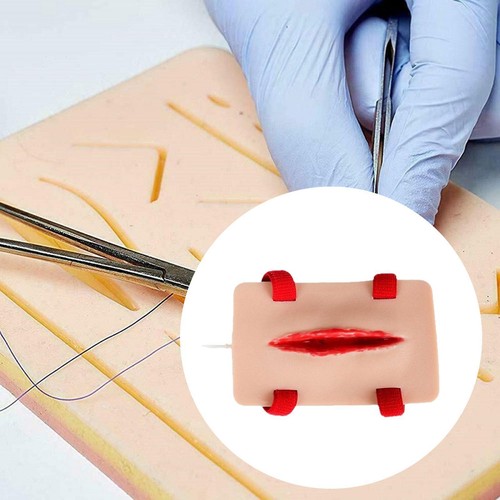 Trauma model wound - trauma,