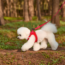 Breathable Soft Reflective Adjustable Reflective Vest Puppy Harness.w/Leash