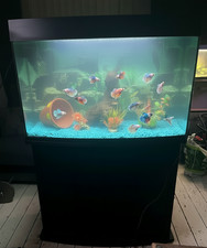 150 litre fish tank and