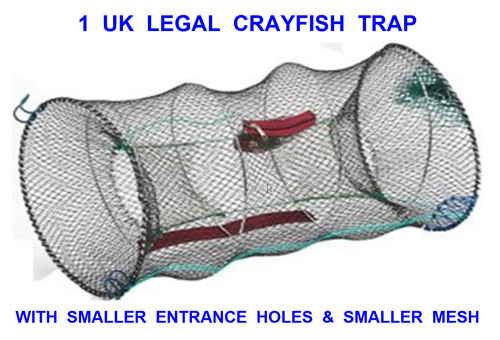 Legal crayfish trap - 1,