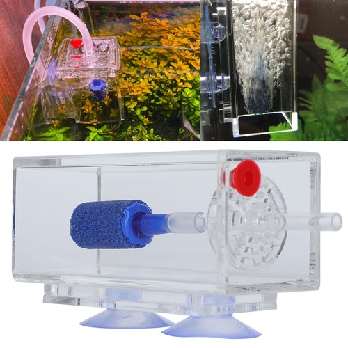 Acrylic aquarium fish - acrylic, tank