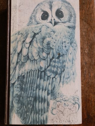 Book british birds - of,