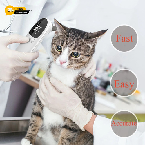 Infrared pet dog cat - cat, ear