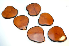 Vintage Set of 6 Real Wood Tree Slice Coasters with Bark Edge Gloss Finish